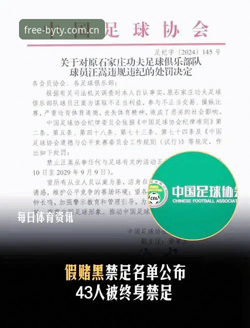 博业体育正式版教程 中国足协第三批禁足名单详解——博业体育平台深度剖析行业整顿风暴